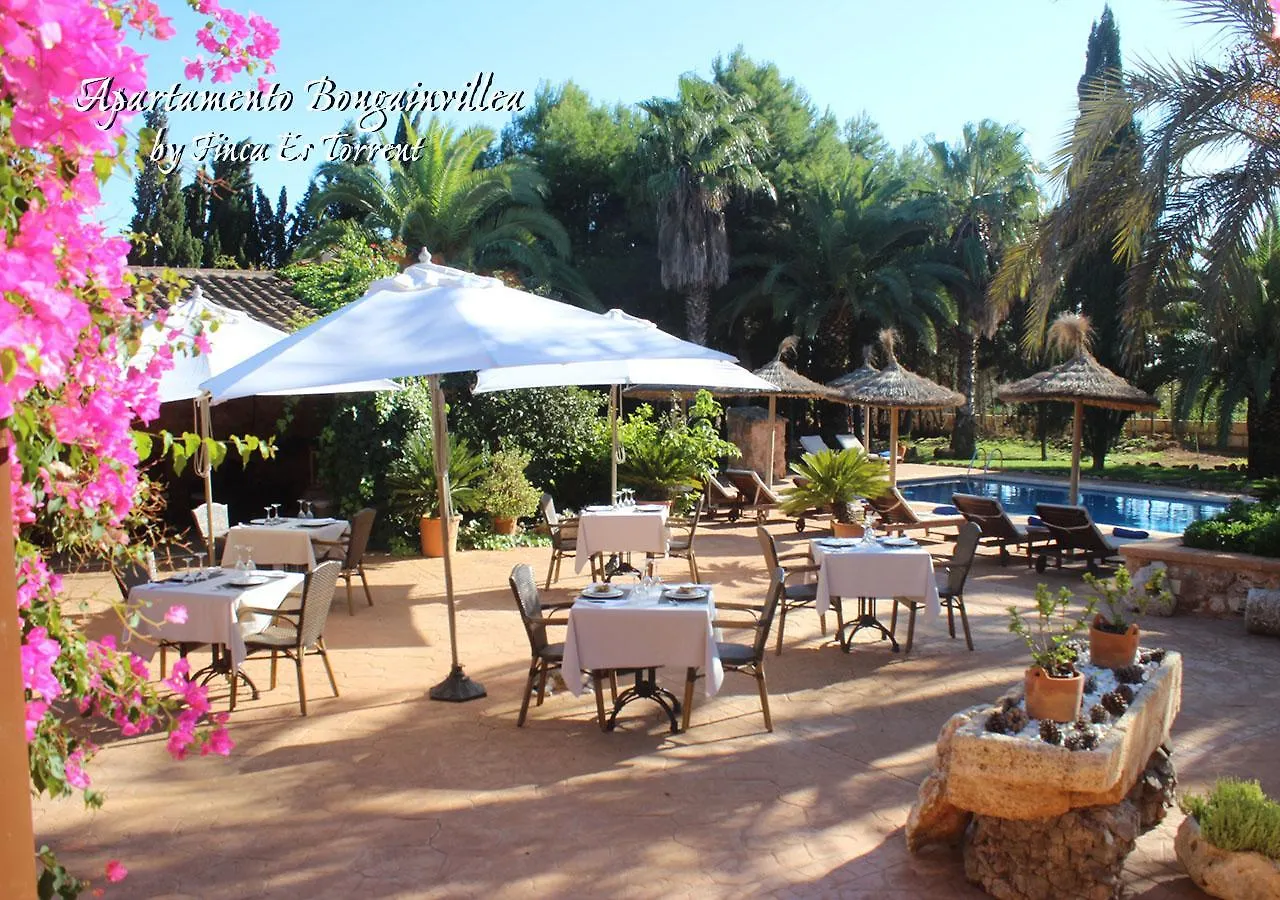 Apartment Bougaivillea By Finca Es Torrent Sa Ràpita