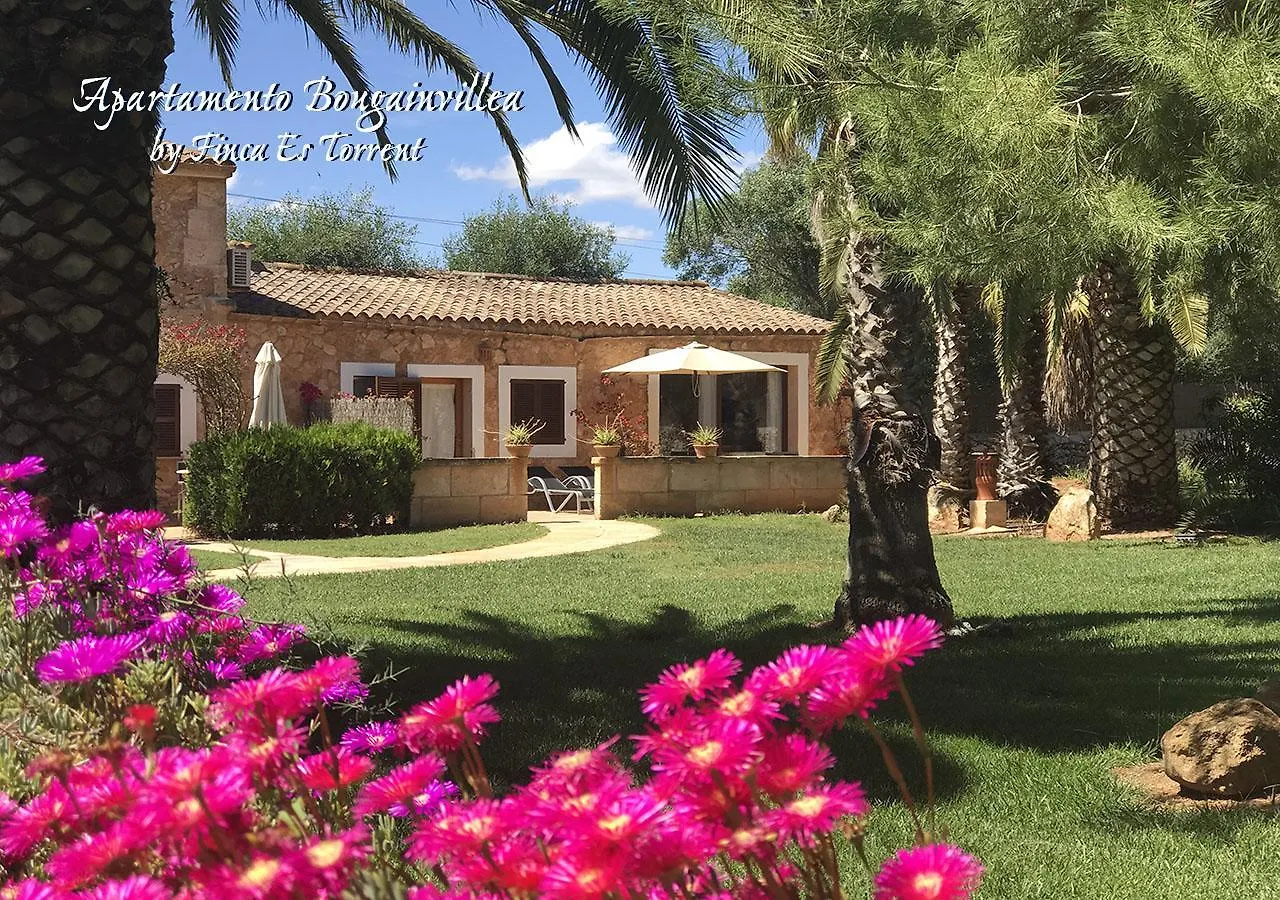 Apartment Bougaivillea By Finca Es Torrent Sa Ràpita